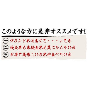 お試しに！平成29年産 新潟県長岡産コシヒカリ（未検査米）白米5kg 