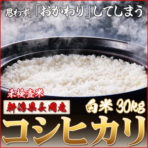 平成28年産 新潟県長岡産コシヒカリ(未検査米)白米30kg(30kg×1袋)