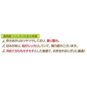 平成28年産 新潟県長岡産コシヒカリ(未検査米)白米30kg(30kg×1袋)