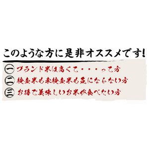 平成28年産 新潟県長岡産コシヒカリ(未検査米)白米30kg(30kg×1袋)