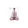 yDVDzBeauty YOGA