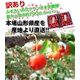 �y�󂠂�z�ӂ��낢�̎R�`���Y�������� ������ 350g�~2P