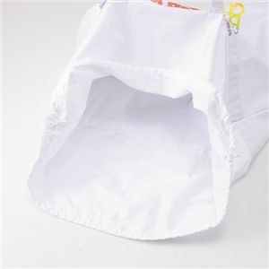 See By Chloe(シーバイクロエ) Lサイズ トートバッグ BORSA RAINBOW '099【BLANC】 第2画像