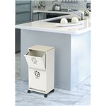 �����S�~���ʃ��C�h���S��