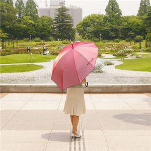 傘 雫 シャインゴールド （雨傘・日傘）