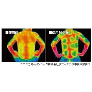 N[WFpbh&s[Zbg ST4130