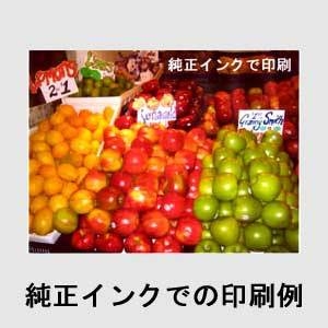 Canon（キャノン） BCI-321+320/5MP互換インクカートリッジ 5色パック+ブラック2個 【5セット】