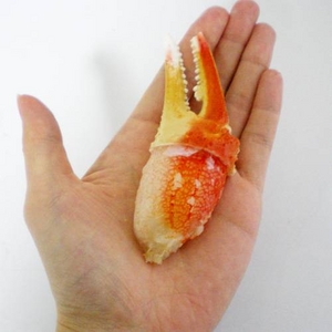 ご贈答用にも！カニ通が好む部位、ボイルズワイ蟹爪 1kg