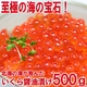 ���̳�ƻ�������ۤ�����ξ�����500g