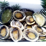 【訳あり】国産養殖アワビ1キロ（38〜48個）