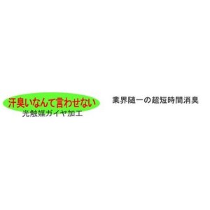 クールビズ 冷感シャツ CoolSpeed（クールスピード） 婦人用 半袖U首 LLサイズ ブラック