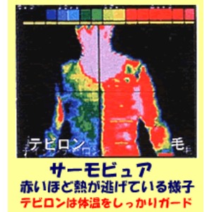 紳士ニーウオーマー 　(ひざサポーター付) フリー 