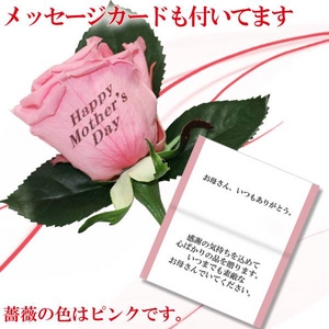 【母の日特選ギフト】 薔薇の花びらに感謝のメッセージが!豪華商品が6種より選べるギフト商品付き Aコース 花はピンクです