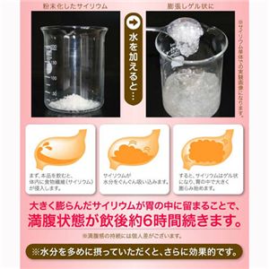 スラーリ イチゴミルクダイエット【2個セット】