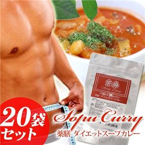 薬膳 ダイエットスープカレー（20袋セット）