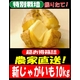 特別栽培農家直送「新じゃがいも」M?2Lサイズ 10kg