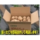 特別栽培農家直送「新じゃがいも」M〜2Lサイズ 10kg