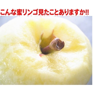【福島県産りんご】 プレミアム蜜サンふじ 5k(18〜21玉) 【ご家庭用 小玉】