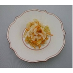 栄養そのまま凝縮保存食「乾燥野菜」(1袋:10g×10袋)