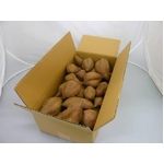 鹿児島県・種子島産 安納芋（あんのういも 土付き） S〜Lサイズ 5kg