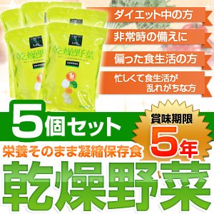 栄養そのまま凝縮保存食「乾燥野菜」（1袋：10ｇ×10袋）【5個セット】