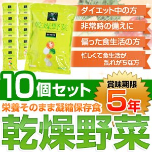 栄養そのまま凝縮保存食「乾燥野菜」（1袋：10ｇ×10袋）【10個セット】