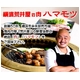 �y�n��50�N�̉��l�r�䉮�z���јa���z���������������Z�b�g �z�������A�n�}���c