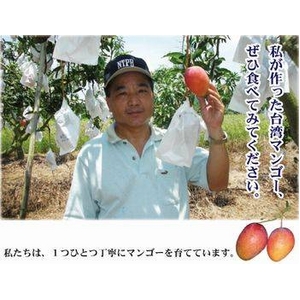 極上アップルマンゴー1kg（大玉2個）