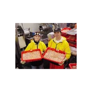 無着色たらこ 【500g×3】