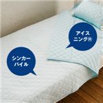 �A�C�X�j���O�iR�j �L���g�P�b�g �n�[�t �u���[