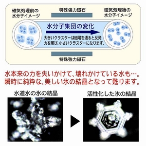 アクアハーモニー ブルー