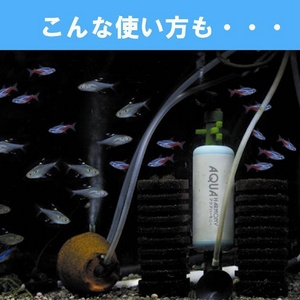 アクアハーモニー ブルー