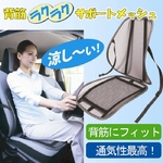 背筋らくらくサポートメッシュの詳細ページへ