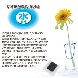 切り花延命剤/ココスキープ 【12個入】 使用有効期限/約1ヶ月間 抗菌作用