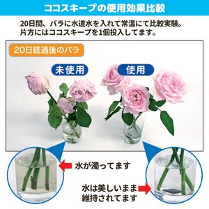 切り花延命剤/ココスキープ 【12個入】 使用有効期限/約1ヶ月間 抗菌作用