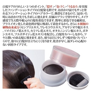 DIXTOWAJ(ディストワジェイ)ヘアカラーファンデーション ダークブラウン