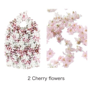 ＨＡＭ−１５絞りバッグ　Ｃｈｅｒｒｙ ｆｌｏｗｅｒｓ