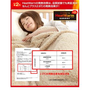 Heat Warm(ヒートウォーム) 発熱あったか2枚合わせ毛布 シングル ブラウン