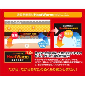 Heat Warm(ヒートウォーム) 発熱あったか2枚合わせ毛布 シングル ブラウン