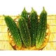 【産地直送お取り寄せ・季節限定沖縄産野菜】ゴーヤー約4kg(12本?20本入り)