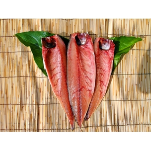 【国産】さば干物(フィレー) 6枚 ◆昔から食べていた日本のサバ!ノルウェー産とは「味」が違います!◆