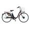 SANYO（サンヨー） 電動ハイブリッド自転車 eneloop bike（エネループ バイク） CY-SPL226-R 26インチ ワインレッド