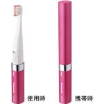 Panasonic(パナソニック) 音波振動歯ブラシ ローズピンク ポケットドルツ EW-DS11-RP