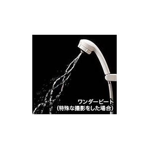 TOTO マッサージシャワーワンダービート THYC10#N11