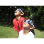 ���H�O���X AFOM SOLAR V GLASS �y5�Z�b�g�z