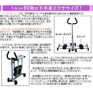 パーフェクトレッグ