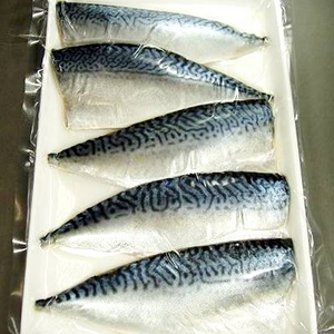 三代目猪又屋の幻の金華とろしめ鯖5尾セット