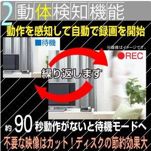 縮小サイズ