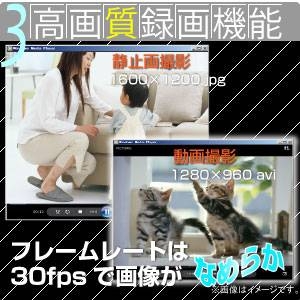 縮小サイズ