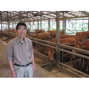 100%国産飼料肥育「阿蘇赤牛」1頭(約650kg)分の真空パック加工肉・出荷11月下旬(予約販売)熊本県阿蘇産山村・井雅信様肥育